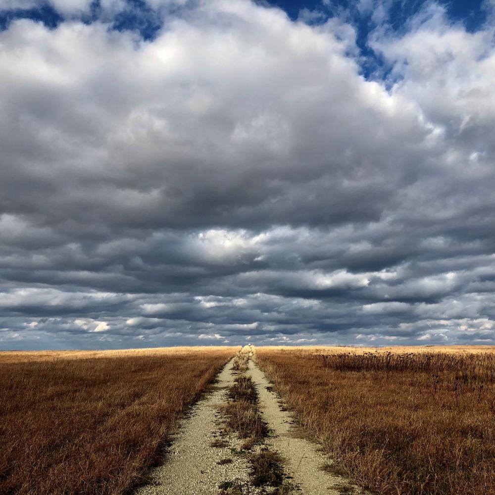 Kansas field