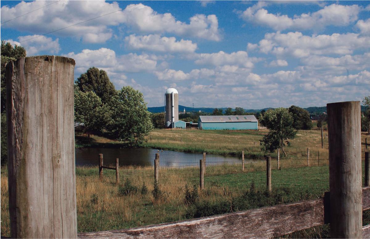 Landscape view of Berea's farm on a sunny day