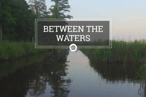 Between the Waters, a South Carolina Educational Television website.