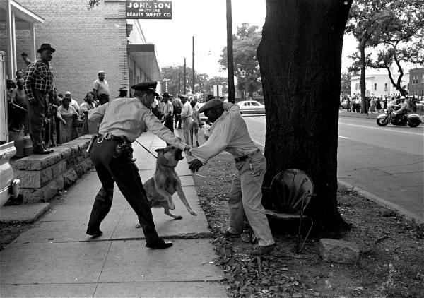 Civil rights protesters attacked by police dogs