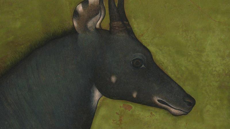 This painting of a nilgai, which is an antelope indigenous to Asia, is attributable to the reign of the Mughal emperor Shah Jahan.