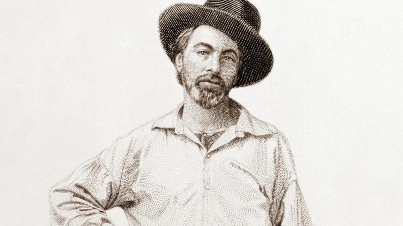 Walt Whitman illustration from Leaves of Grass.