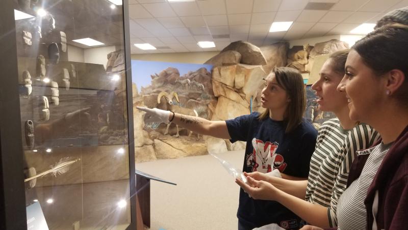 The head curator works with San Diego State University students. Photograph courtesy of the Imperial Valley Desert Museum. 